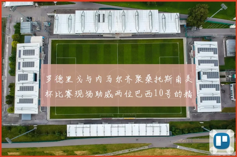 罗德里戈与内马尔齐聚桑托斯南美杯比赛现场助威两位巴西10号的精彩时刻